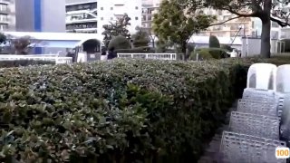 《长谷川萌》BD免费在线观看-伦理剧情